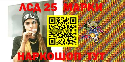 шишки Ставрополь