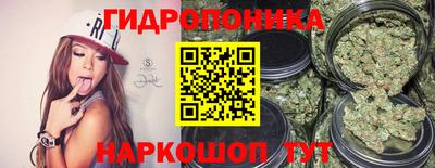 шишки Ставрополь