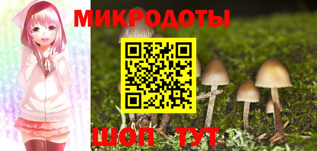 Галлюциногенные грибы прущие грибы  Вход с VPN  Новороссийск 